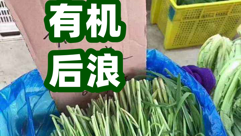 【后浪?非浪?韭浪?】我有不一样的看法